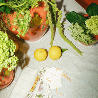 LW x Coco Shop Napkins