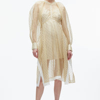 Organza Dress