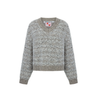 Pull V-Neck Tweety Sweater