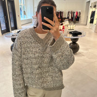 Pull V-Neck Tweety Sweater