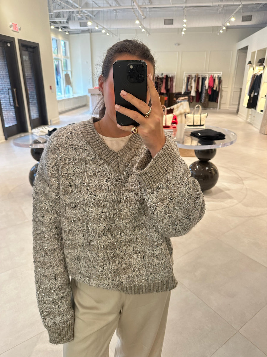 Pull V-Neck Tweety Sweater