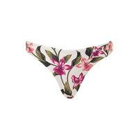 Berilo Pasado Bikini Bottoms