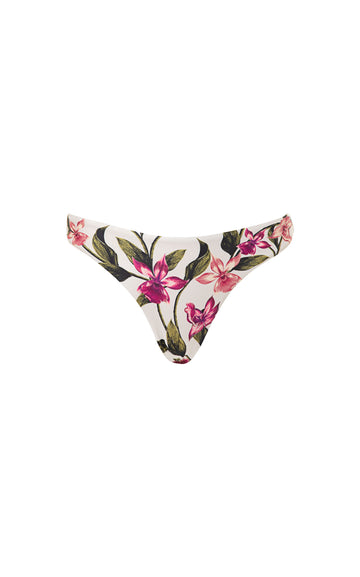 Berilo Pasado Bikini Bottoms