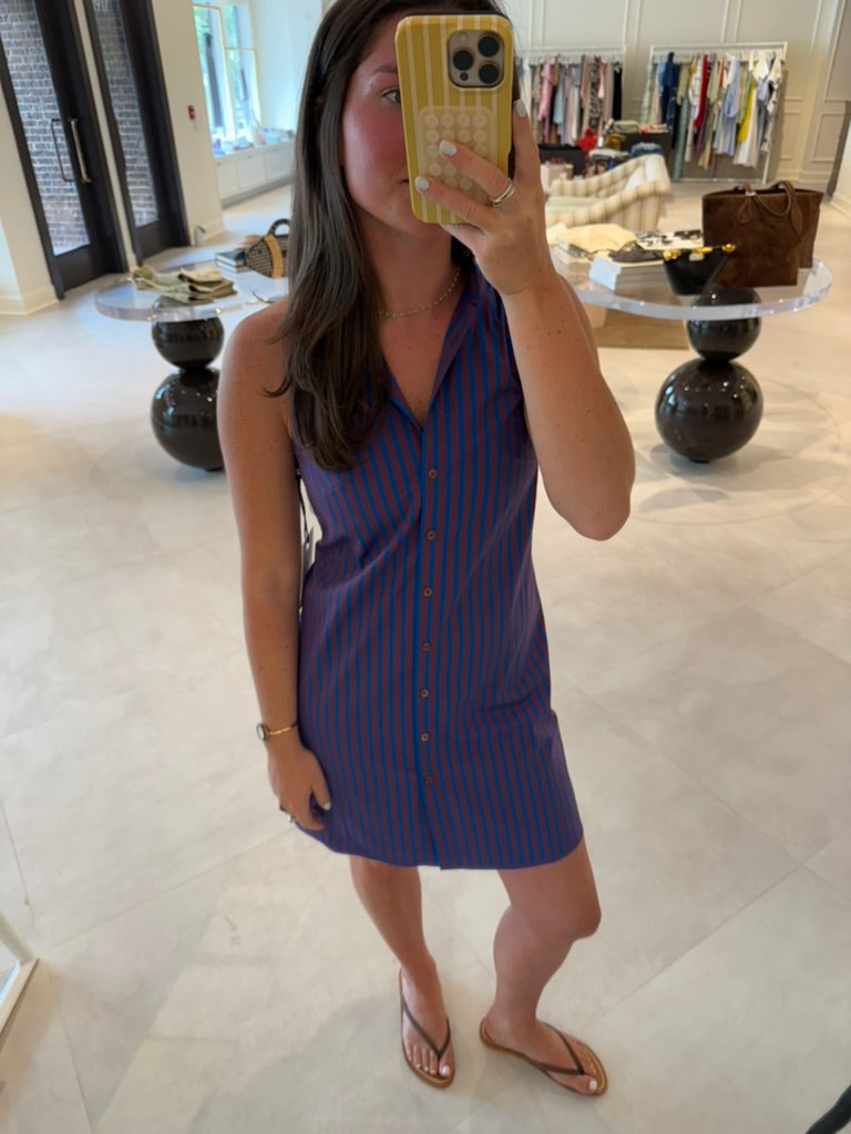 Shirley Mini Dress