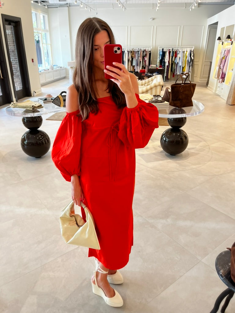 Balloon Sleeve Dress