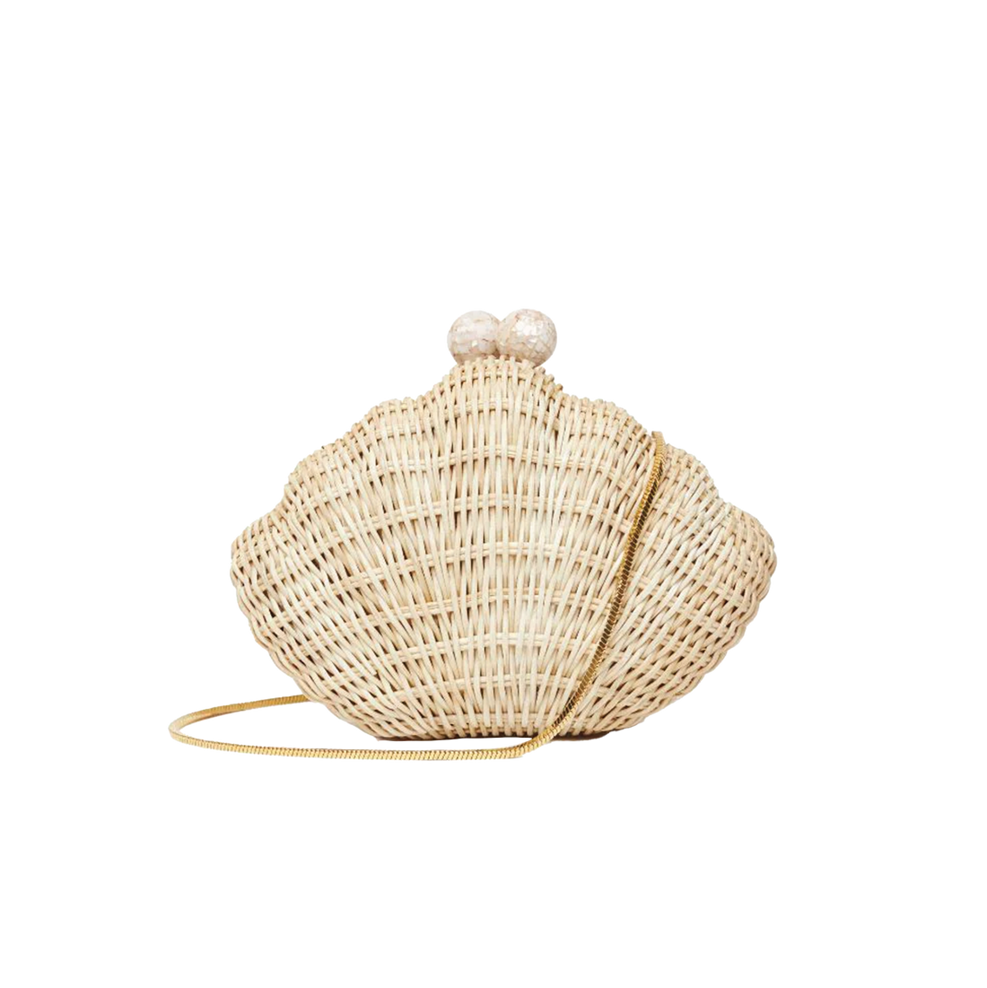 The Shell Minaudiere Bag