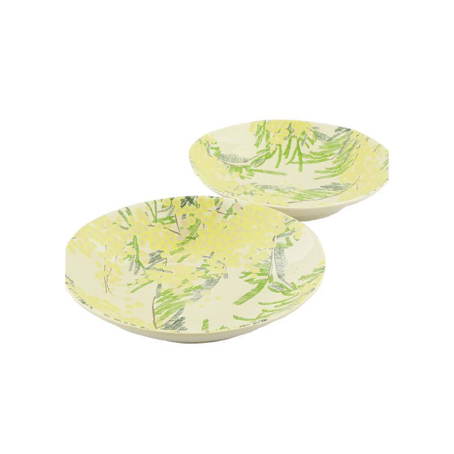 Pair of Pasta Bowls