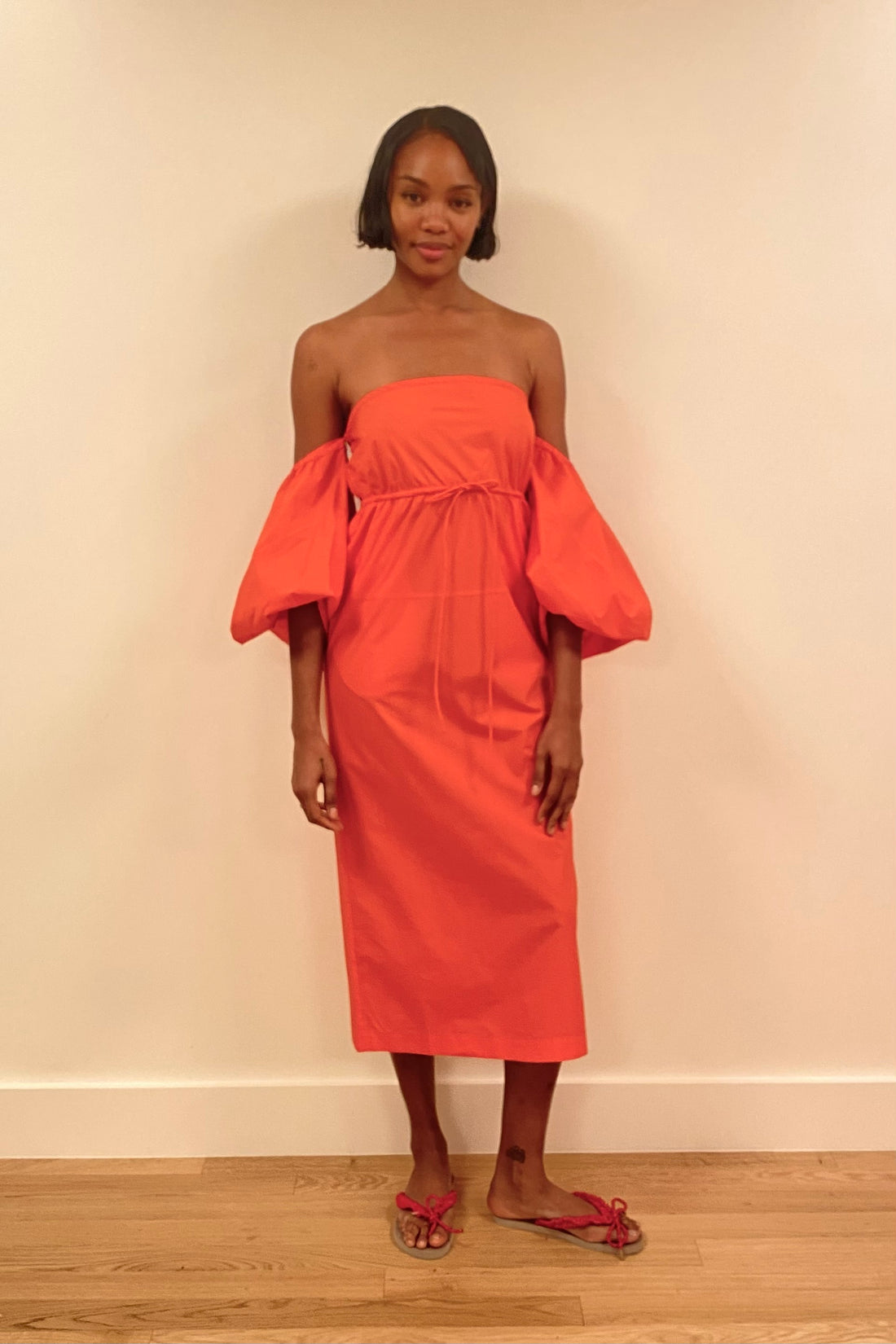 Balloon Sleeve Dress