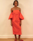 Balloon Sleeve Dress