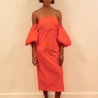 Balloon Sleeve Dress
