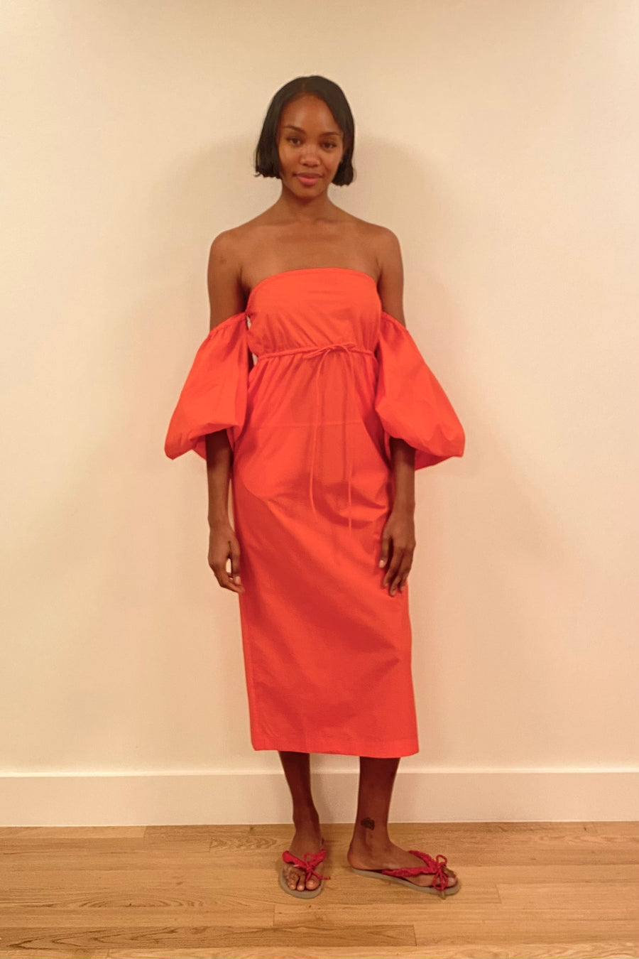 Balloon Sleeve Dress