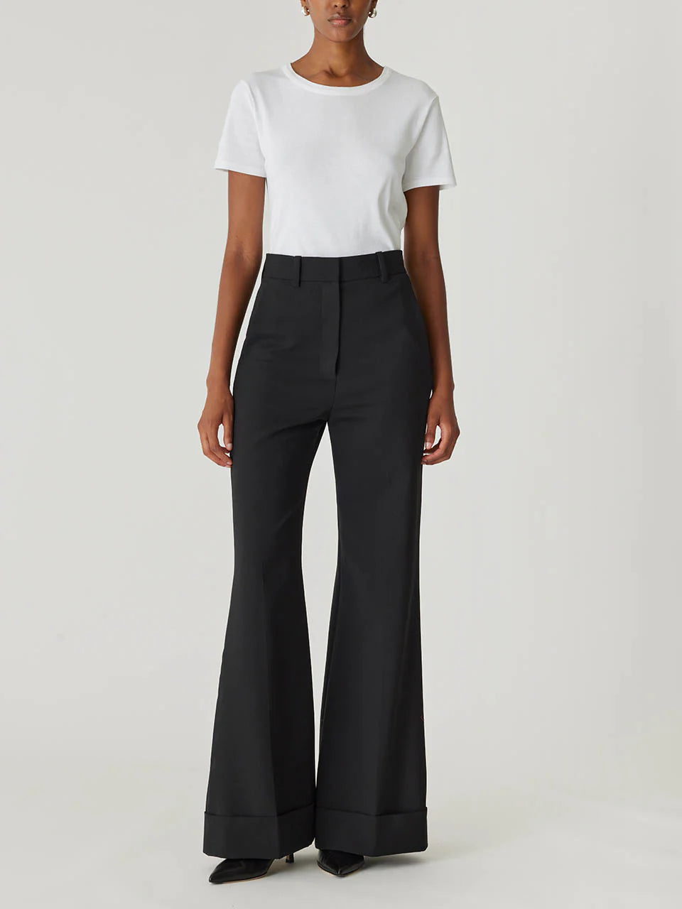 Refined Suiting Wide Leg Trouser