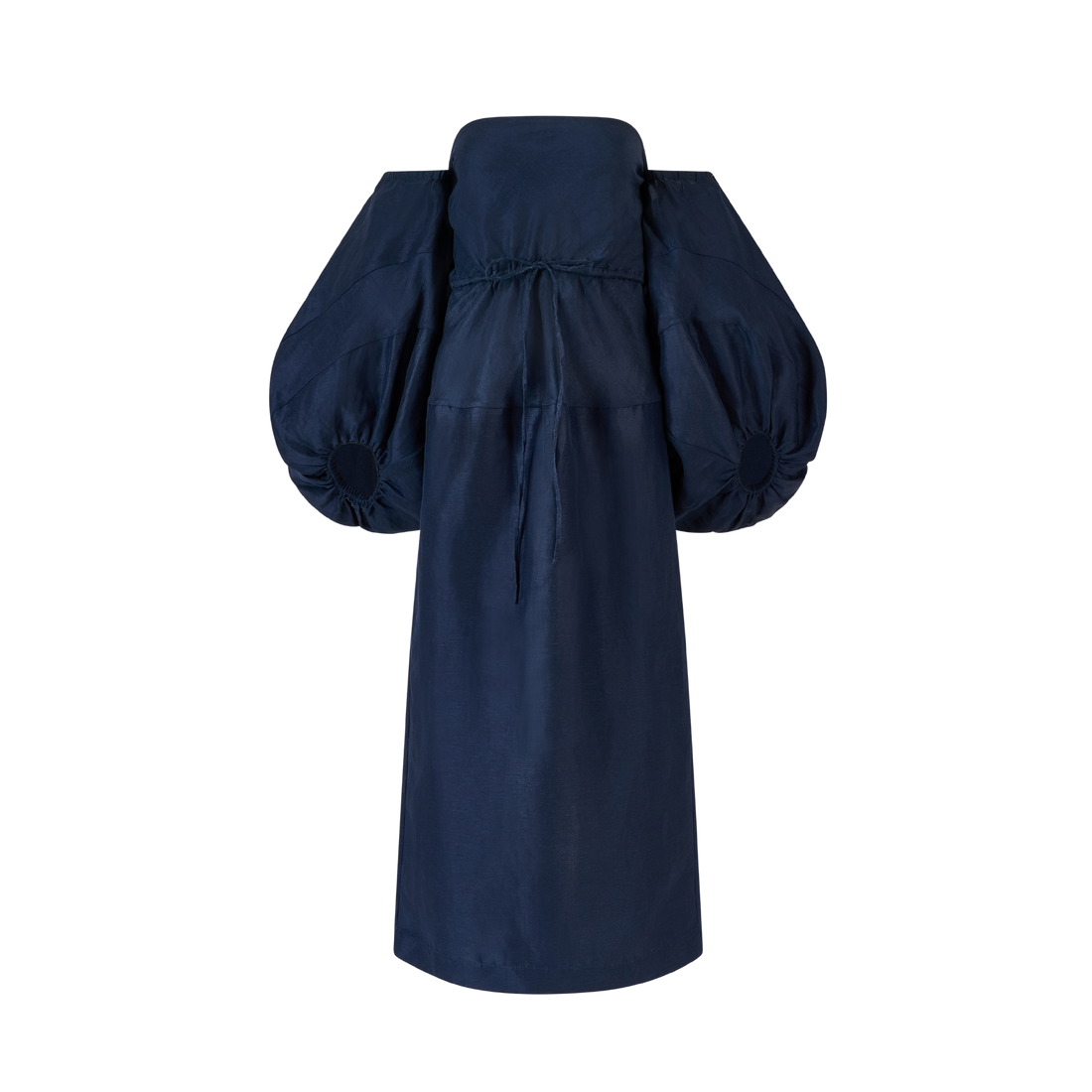 Balloon Sleeve Dress