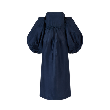 Balloon Sleeve Dress