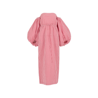 Balloon Sleeve Dress
