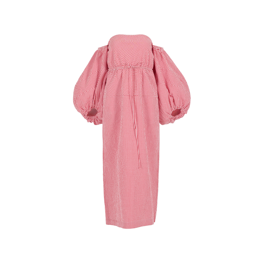 Balloon Sleeve Dress