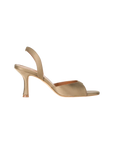 Brigitte Heel