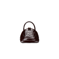 Mini Dome Croc Bag