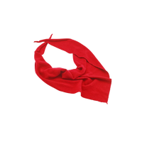 Simone Cashmere Bandana Scarf