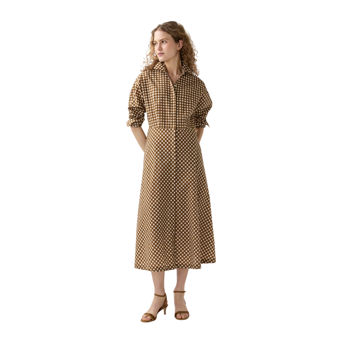 Charlie Shirtwaist Dress