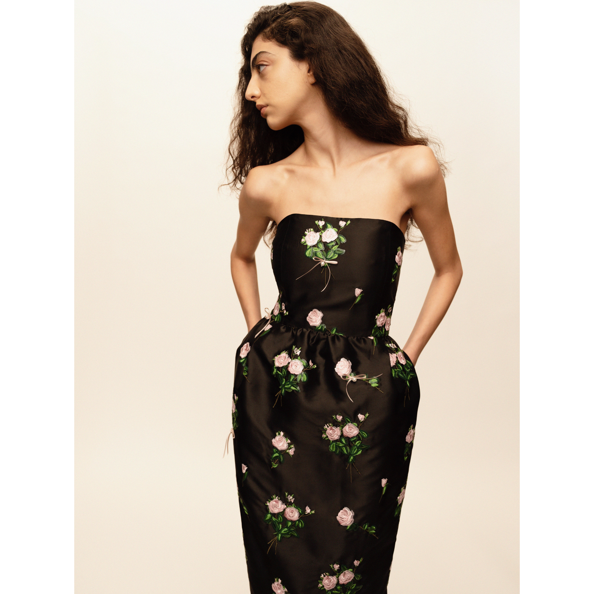 Lena Embroidered Dress