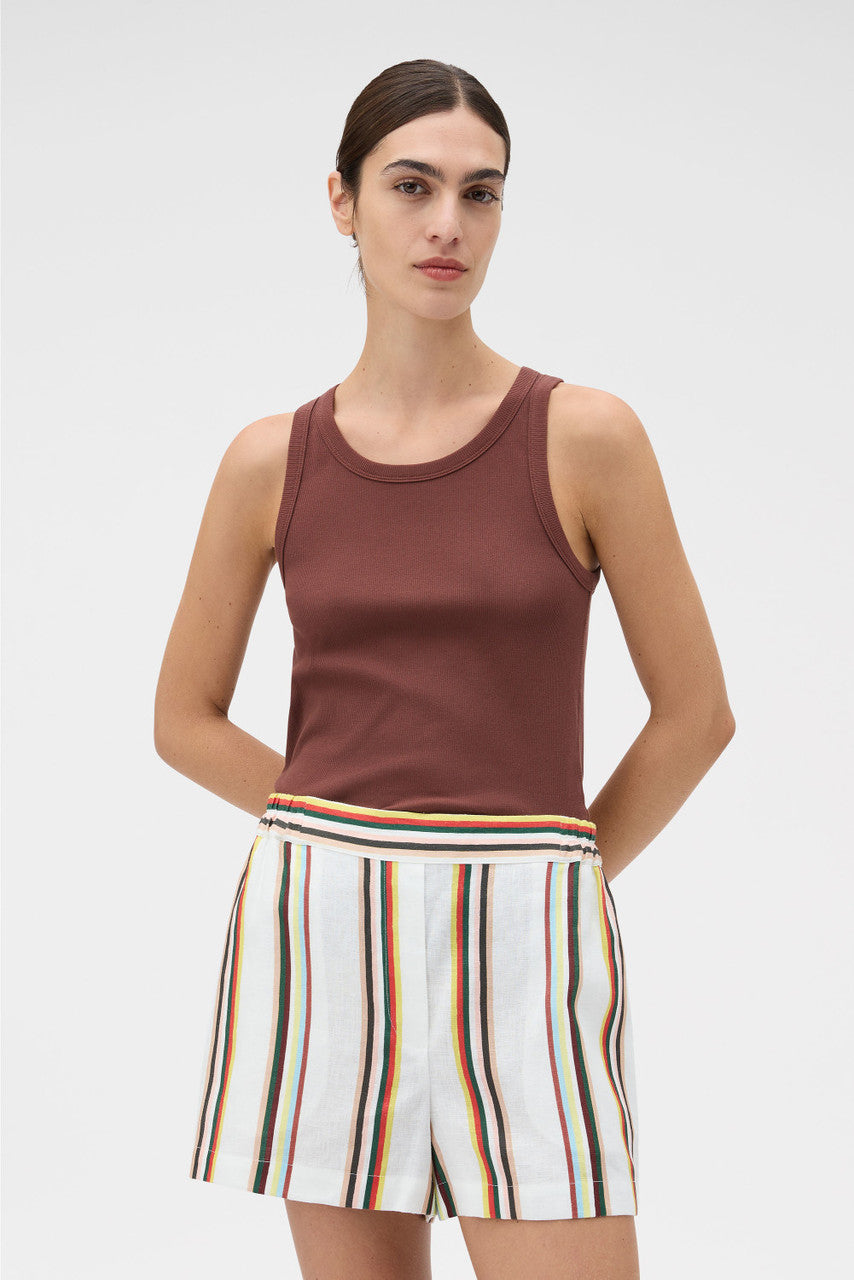 Fiesta Stripe Shorts